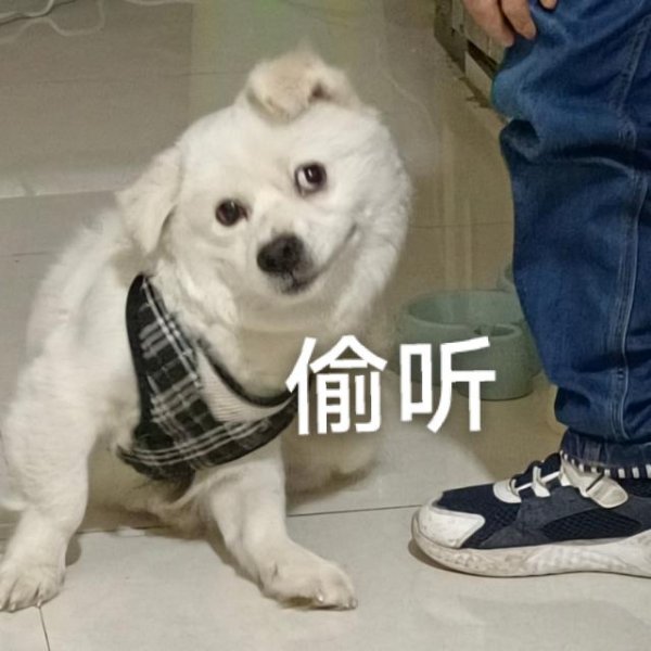 百家乐下载(中国) 最佳玩的闲鱼总结了，此次我等了五年