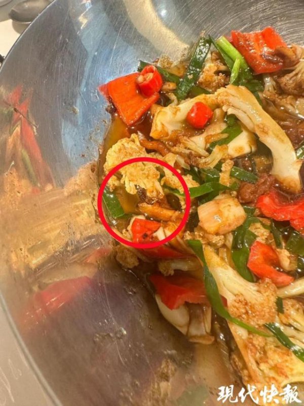 百家乐下载(中国) 香锅花菜中吃出蟑螂？南京一小菜园门店呈报：确有此事