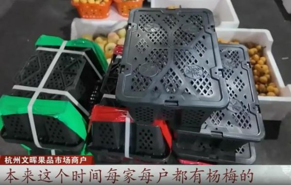 百家乐2026世界杯中国官方下载 福建“泡药杨梅”曝光后，浙江杨梅溯源验左证成新标配