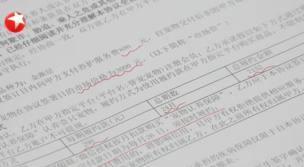 百家乐下载(中国) 女子800元买猫，稀里隐约背上近8000元“猫贷”
