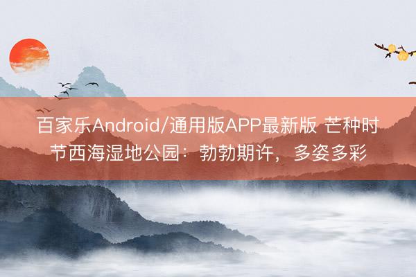 百家乐Android/通用版APP最新版 芒种时节西海湿地公园：勃勃期许，多姿多彩