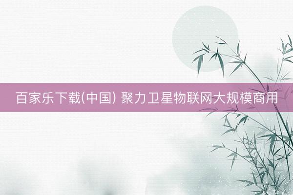 百家乐下载(中国) 聚力卫星物联网大规模商用