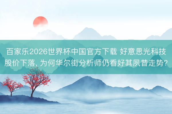百家乐2026世界杯中国官方下载 好意思光科技股价下落, 为何华尔街分析师仍看好其夙昔走势?