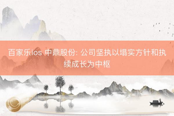 百家乐ios 中鼎股份: 公司坚执以塌实方针和执续成长为中枢
