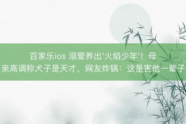 百家乐ios 溺爱养出'火焰少年'！母亲高调称犬子是天才，网友炸锅：这是害他一辈子