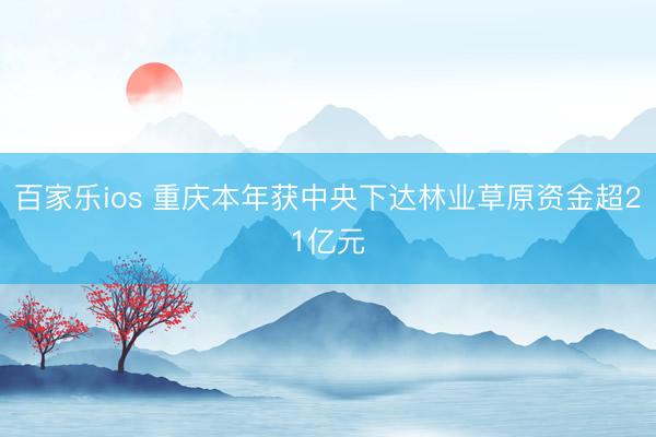 百家乐ios 重庆本年获中央下达林业草原资金超21亿元